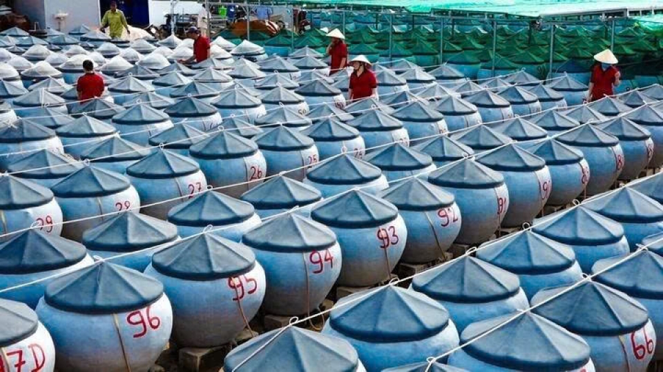Phu Quoc celebrates 200 years of fish sauce making tradition with inaugural festival